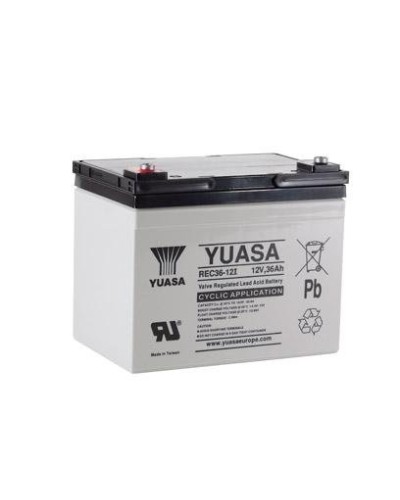 Акумуляторна батарея Yuasa 36Ah 12V (REC36-12I)
