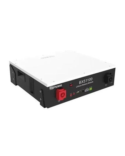 Аккумуляторная батарея Dyness 51.2V 100Ah LiFePO4 (BX51100-1)