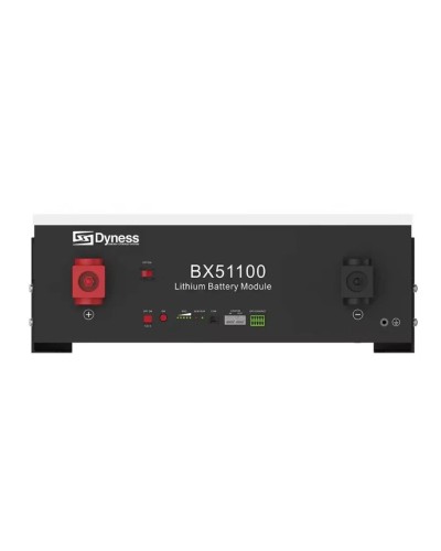 Аккумуляторная батарея Dyness 51.2V 100Ah LiFePO4 (BX51100-1)