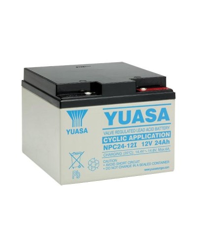 Акумуляторна батарея Yuasa 24Ah 12V (NPC24-12I)