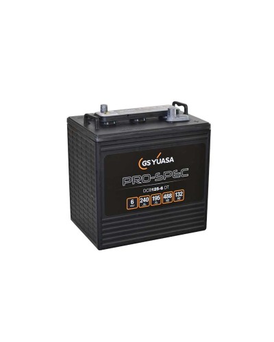 Акумуляторна батарея Yuasa 240Ah 6V (DCB125-6(DT))